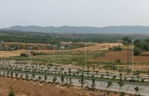 The Life Residencia 5 Marla (file)